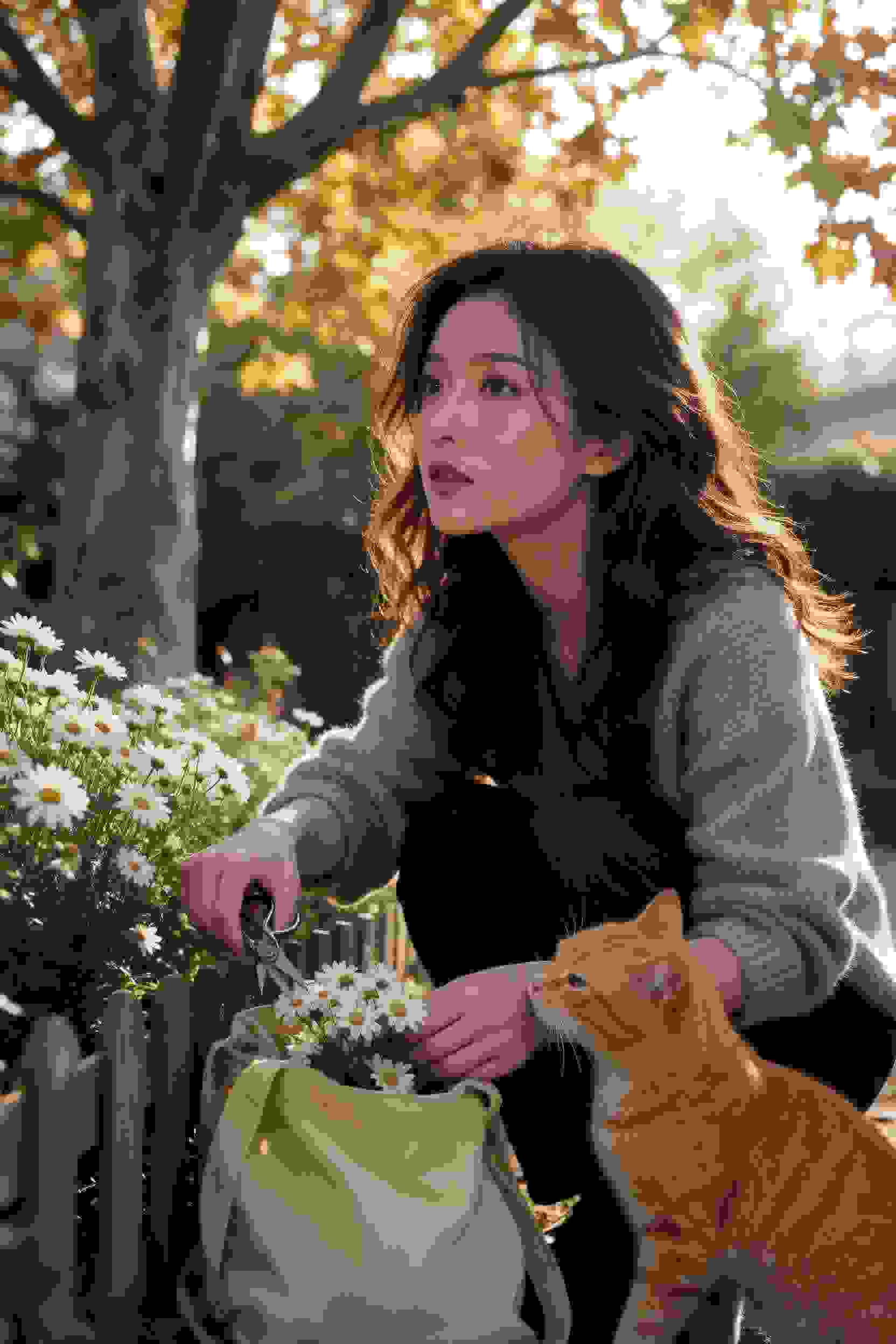 与你的猫咪日常